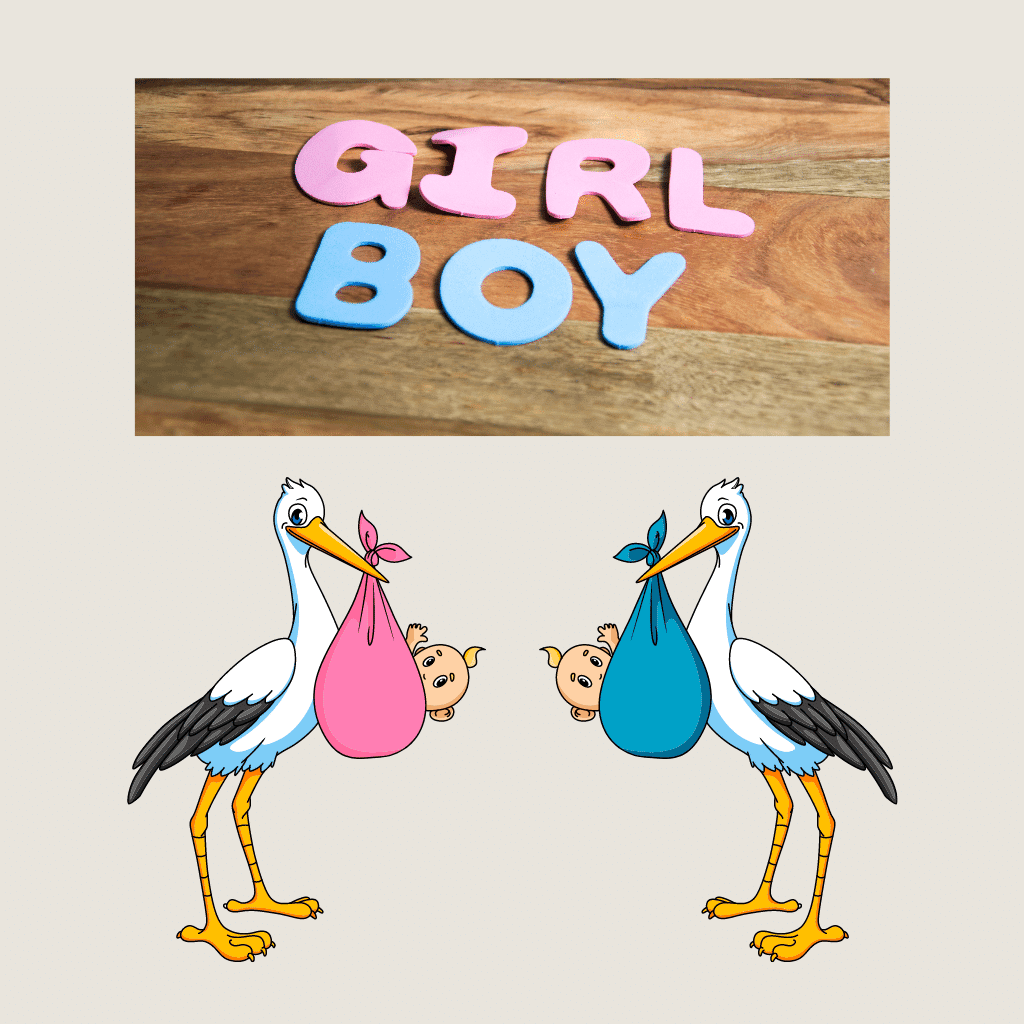 Regalo para revelar el sexo de tu bebé. It's a boy. It's a girl. Es hombre o mujer.